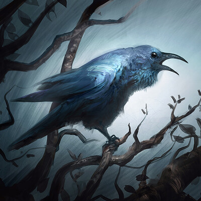 Jorge jacinto bird3