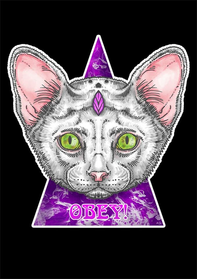 Obey!