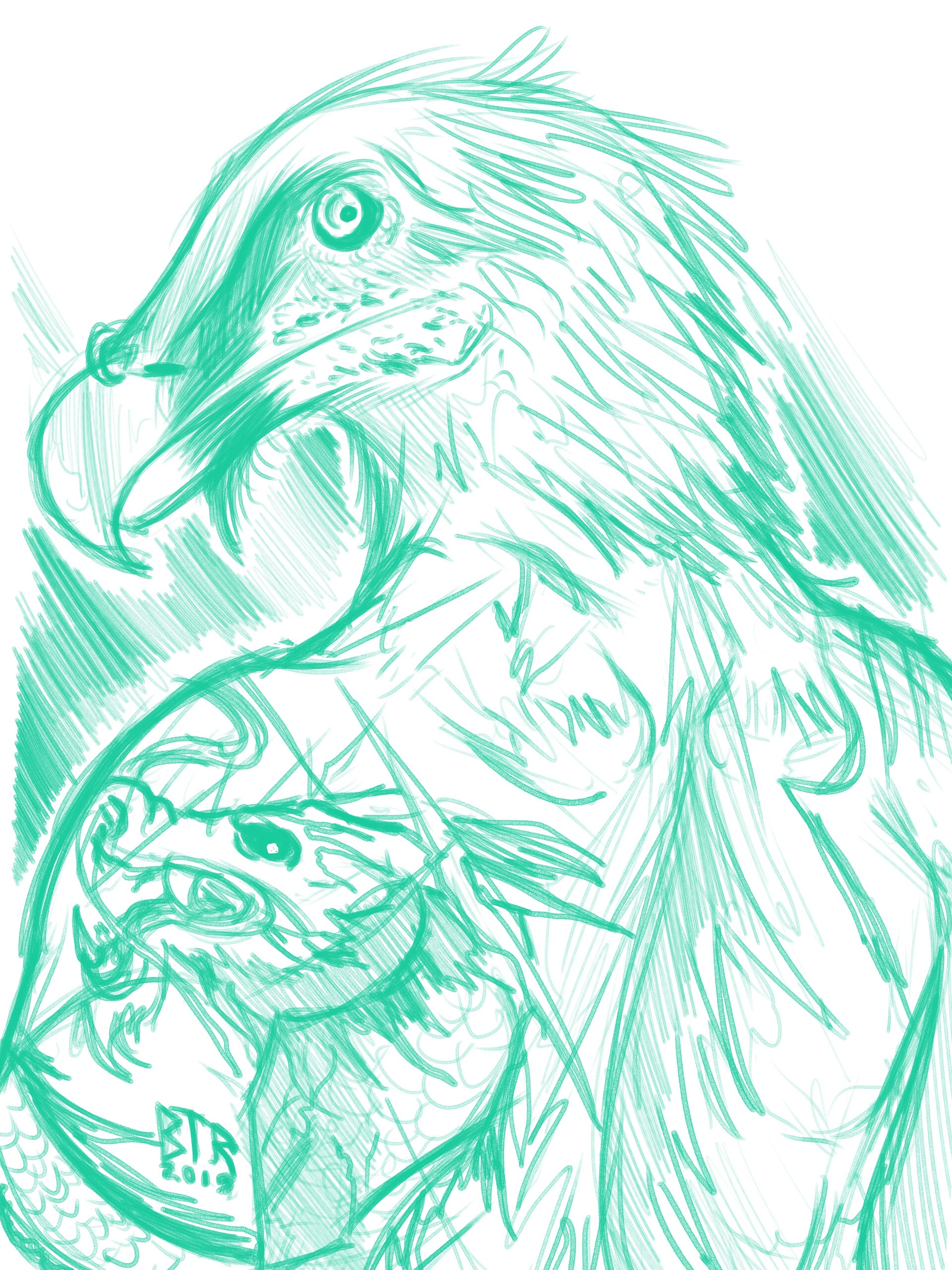 Artstation Sakaguchi Kane Sketches Bearded Vulture Benjamin