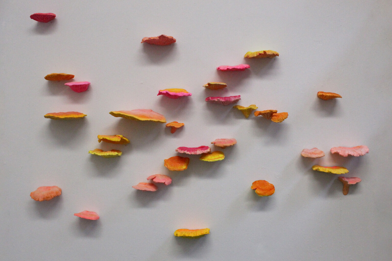 Fluorescent Fruited Fungal Bodies (Completed Piece)