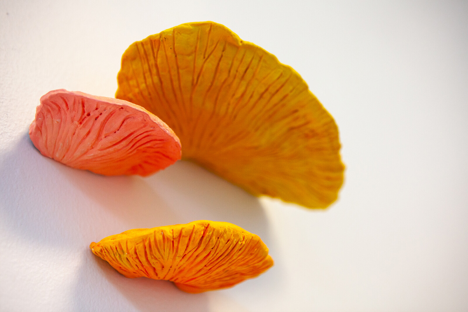 Fluorescent Fruited Fungal Bodies (Cluster 3)