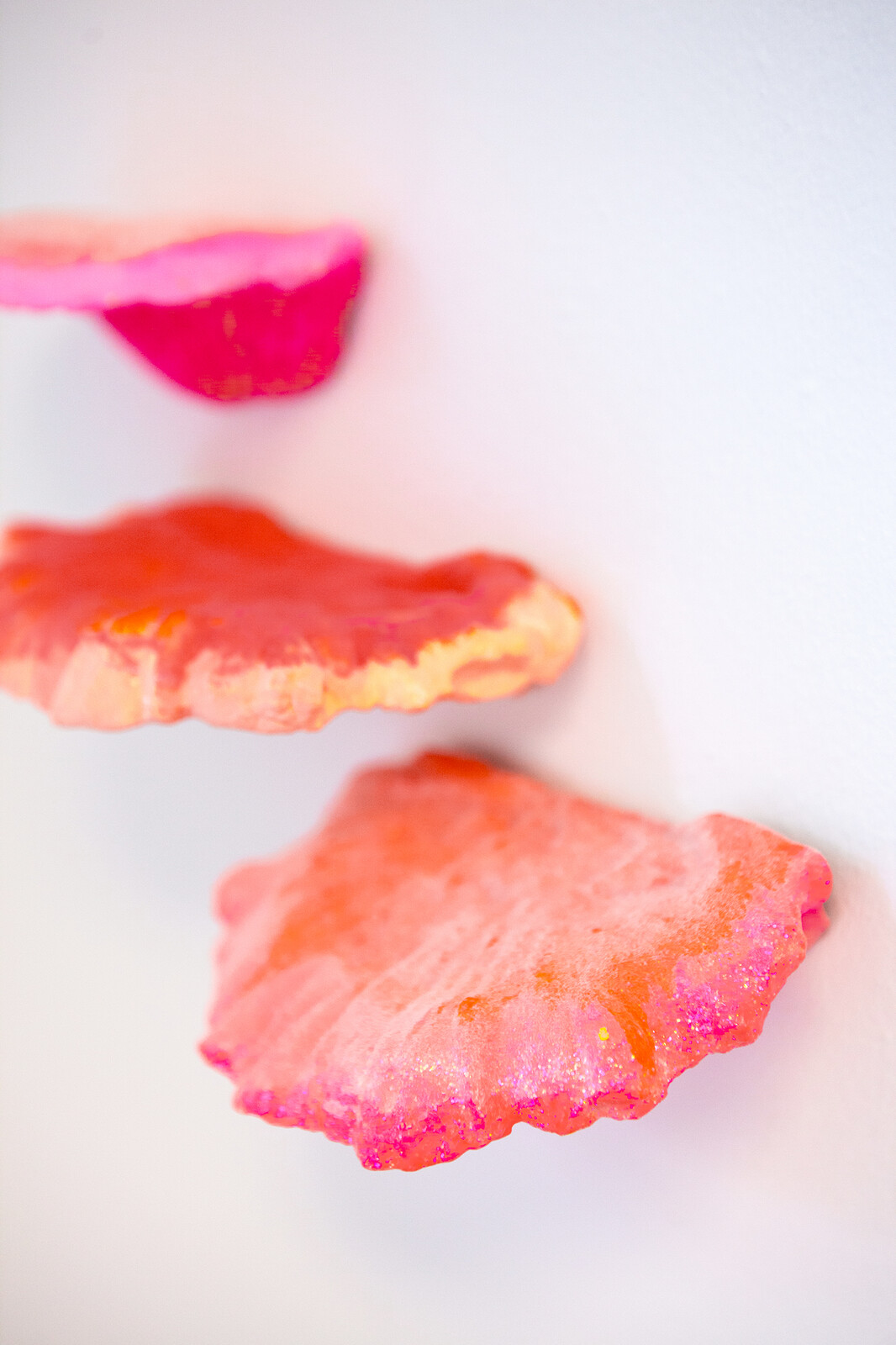 Fluorescent Fruited Fungal Bodies (Cluster 4)