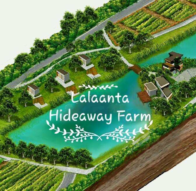 Lalanta Hideaway Farm