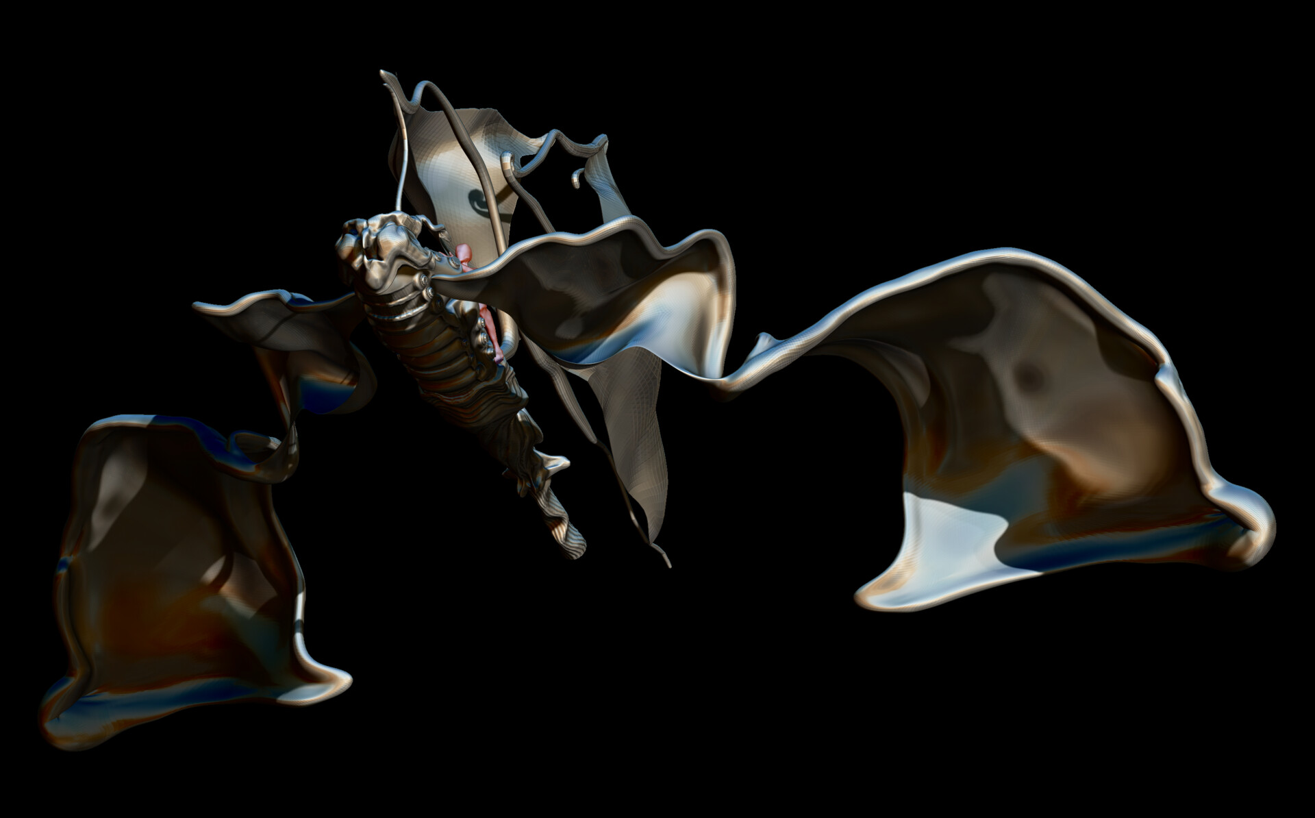 N. Loris Quick concept dev _ session 01