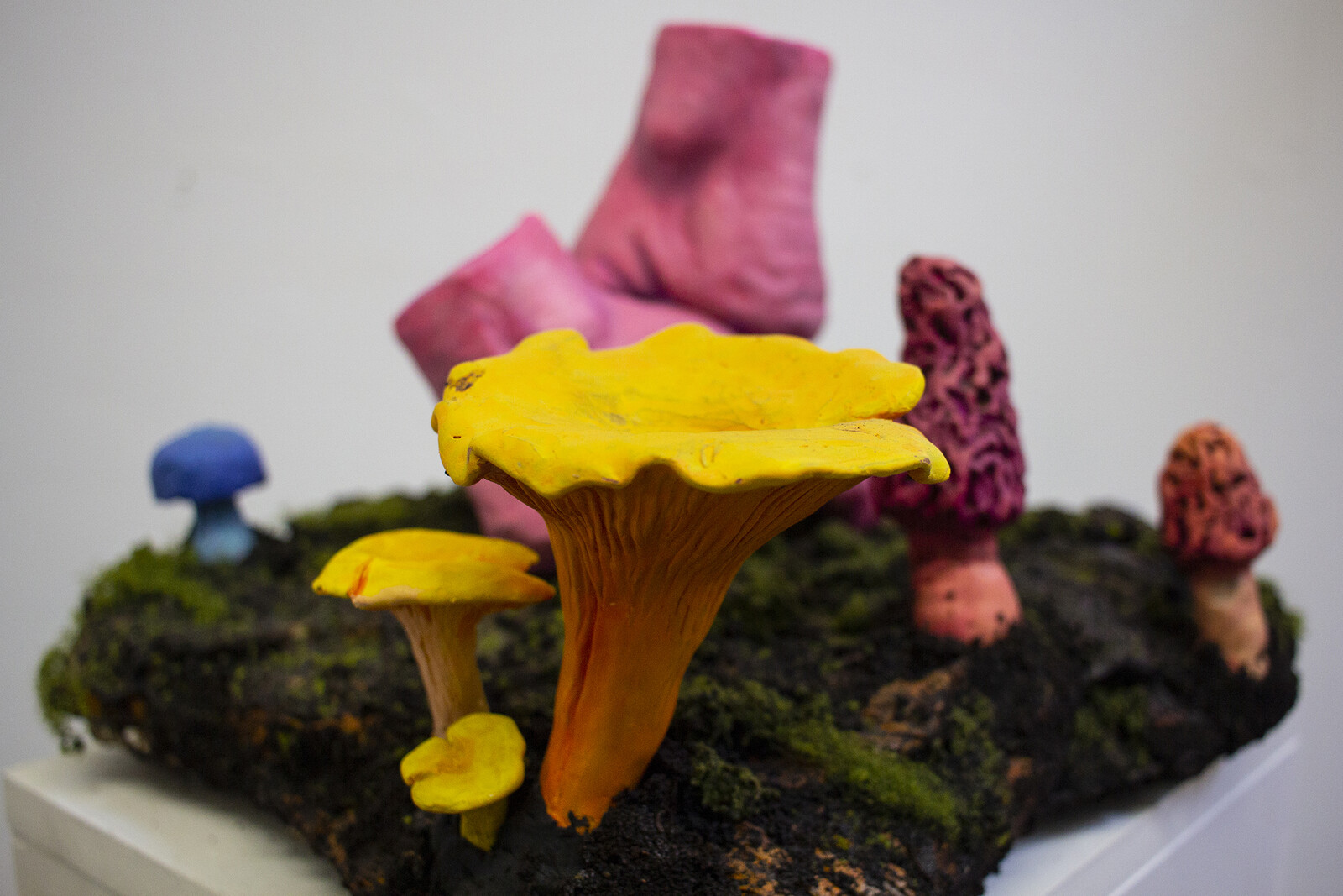 Detail of sculpted chanterelle  