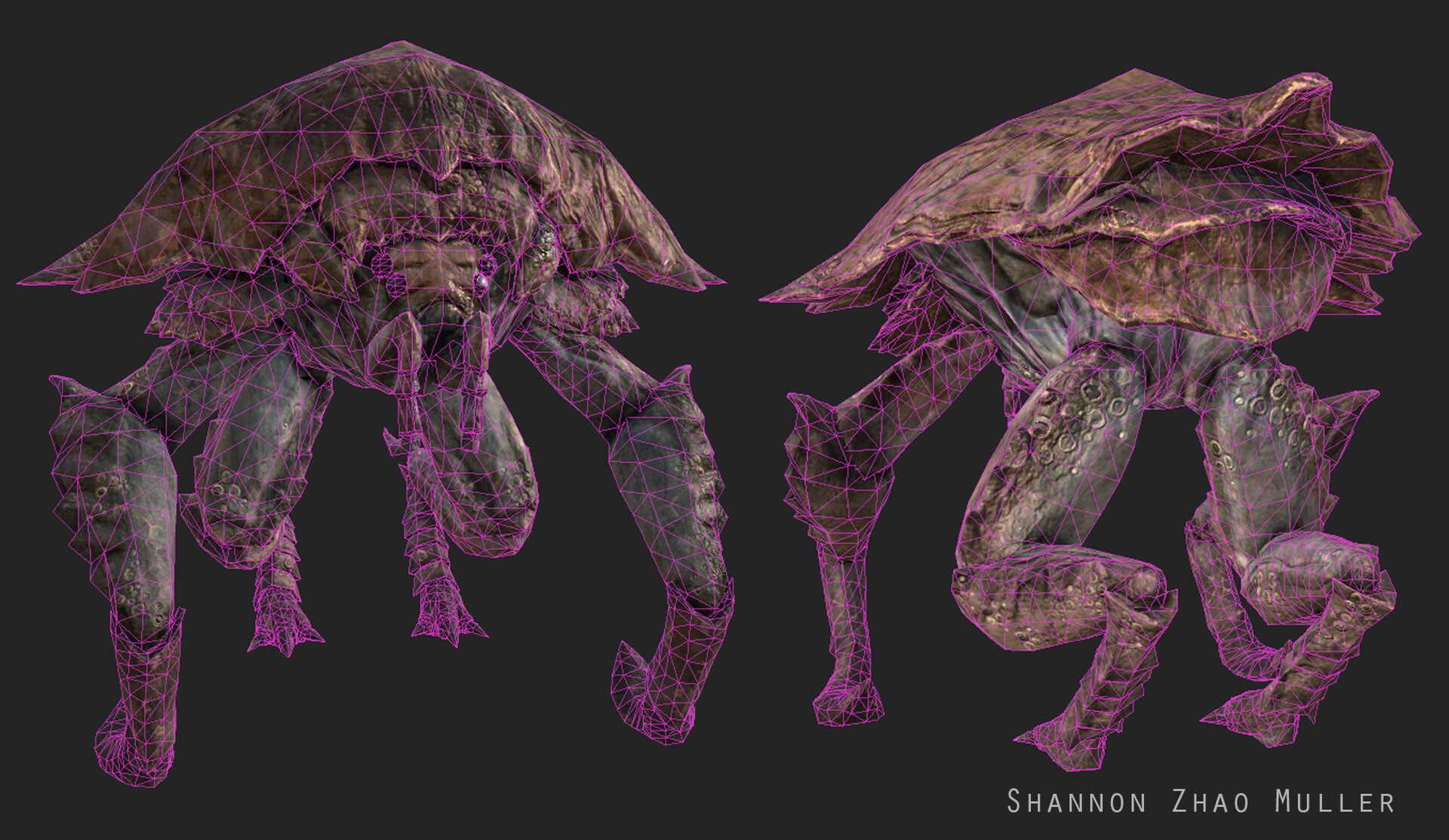 Shannon Zhao Swamp Creature