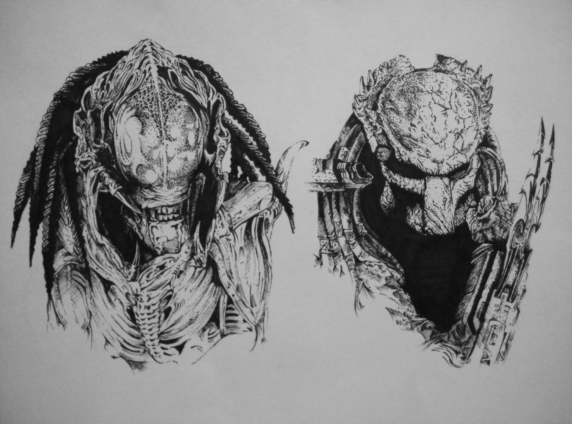 Alien Vs Predator Sketch | Загрузка изображений