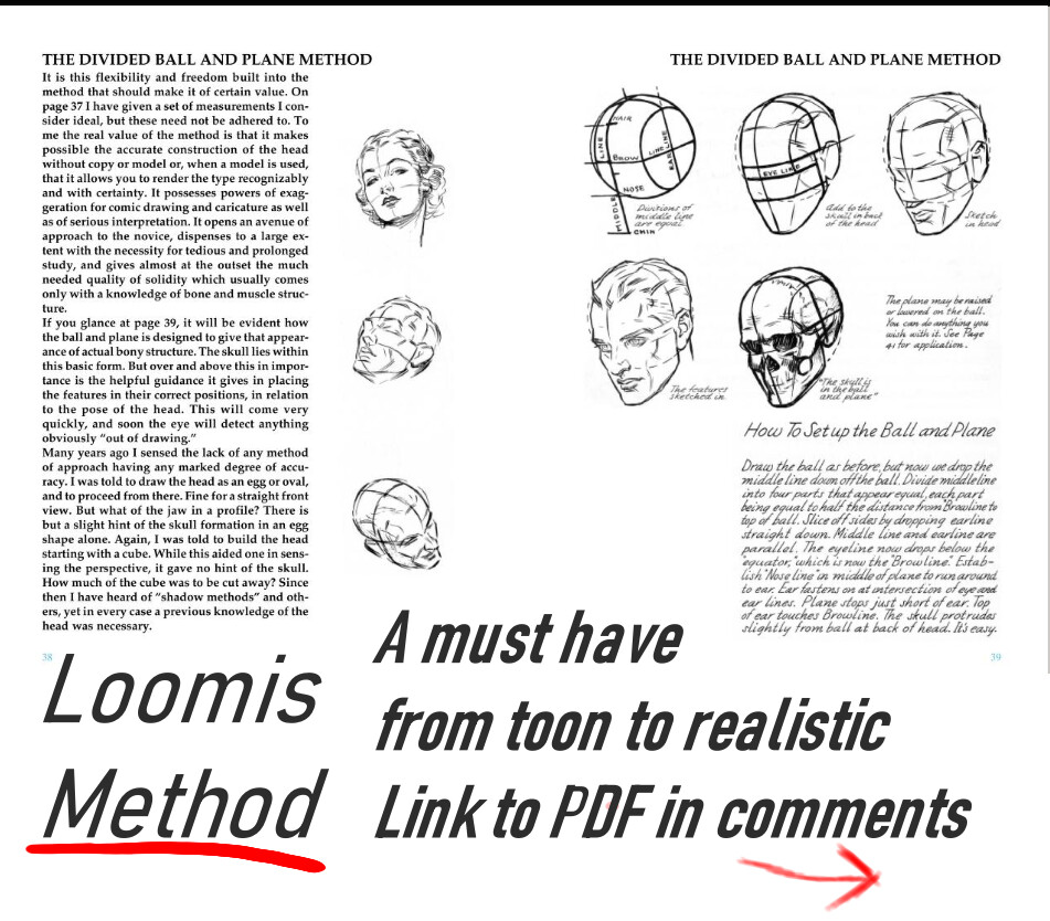 portrait loomis method