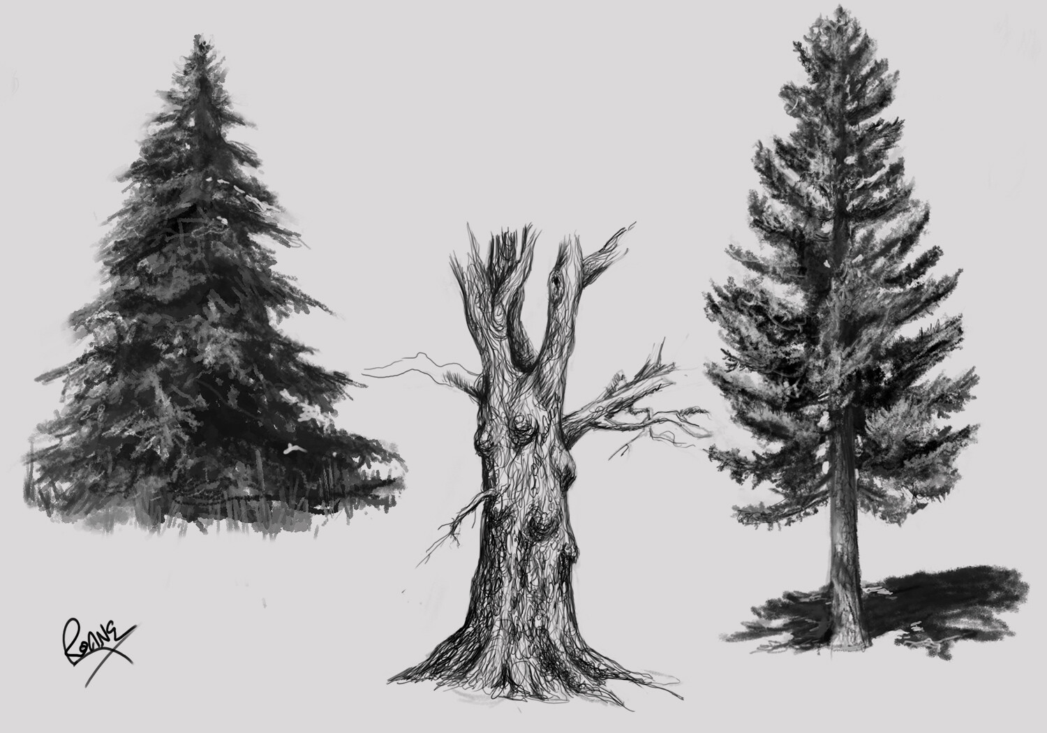 Line art Tree Drawing Redwoods, tree, leaf, branch, monochrome png | PNGWing
