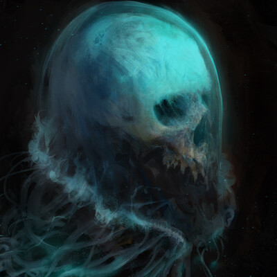 Antonio j manzanedo skull jellyfish manzanedo