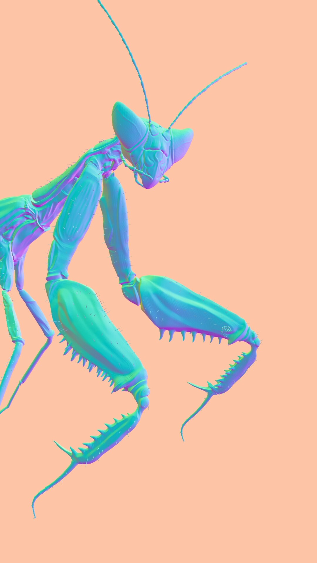 Mantis animation. Богомол Dragon Mantis. Мантис Эстетика. Gigatitan Mantis. Mantis collection [2022-02-03] [Purple Mantis].