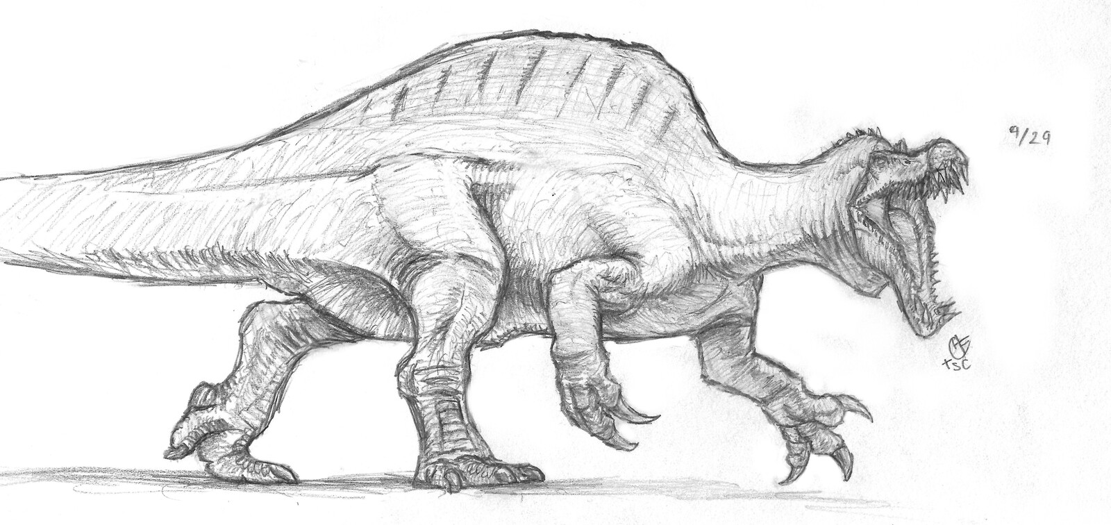 Huitzilin Flores Spinosaurus Drawing