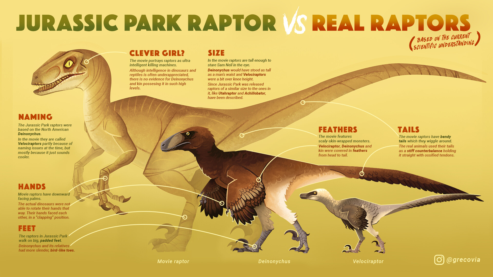 Velociraptor Relatives