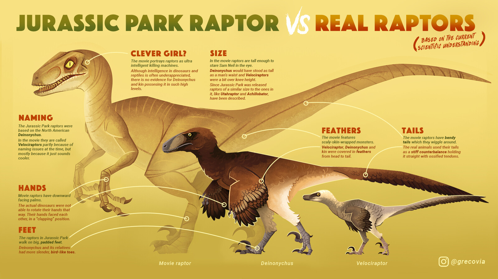 real raptor