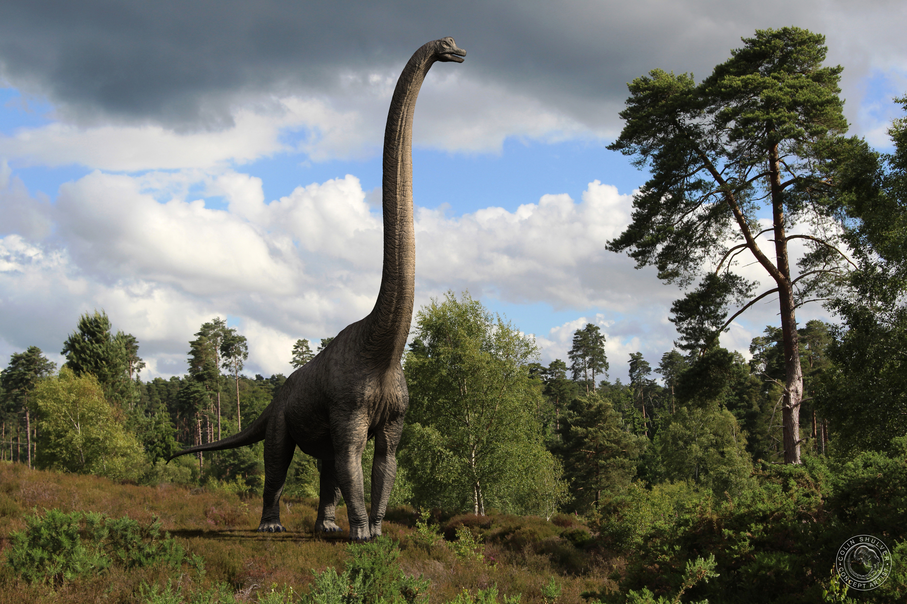 feathered brachiosaurus