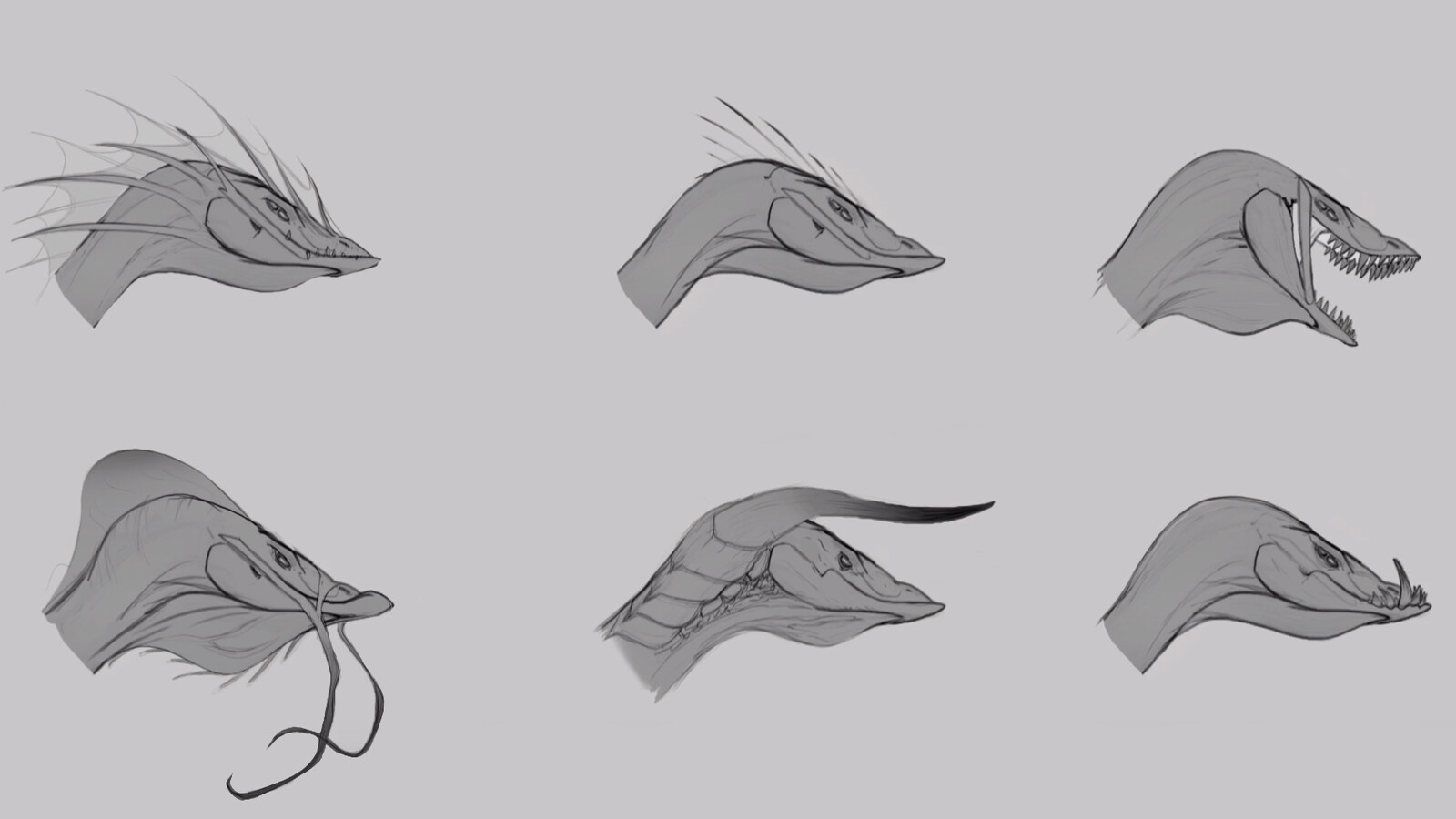 head designs profile