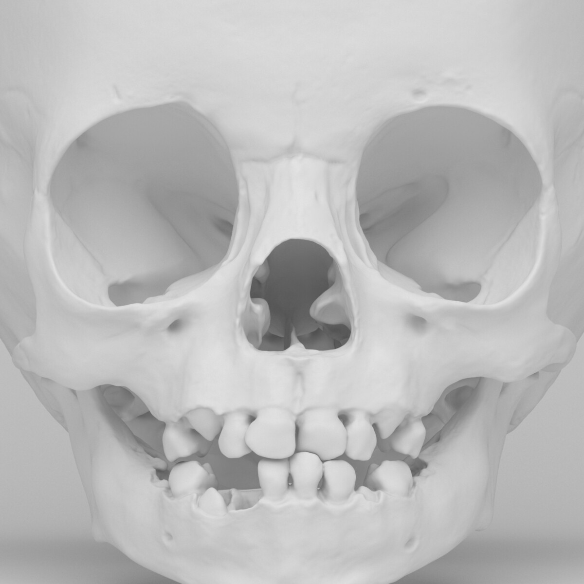 Детский череп рентген. Молочные зубы у детей череп. Череп с молочными зубами.