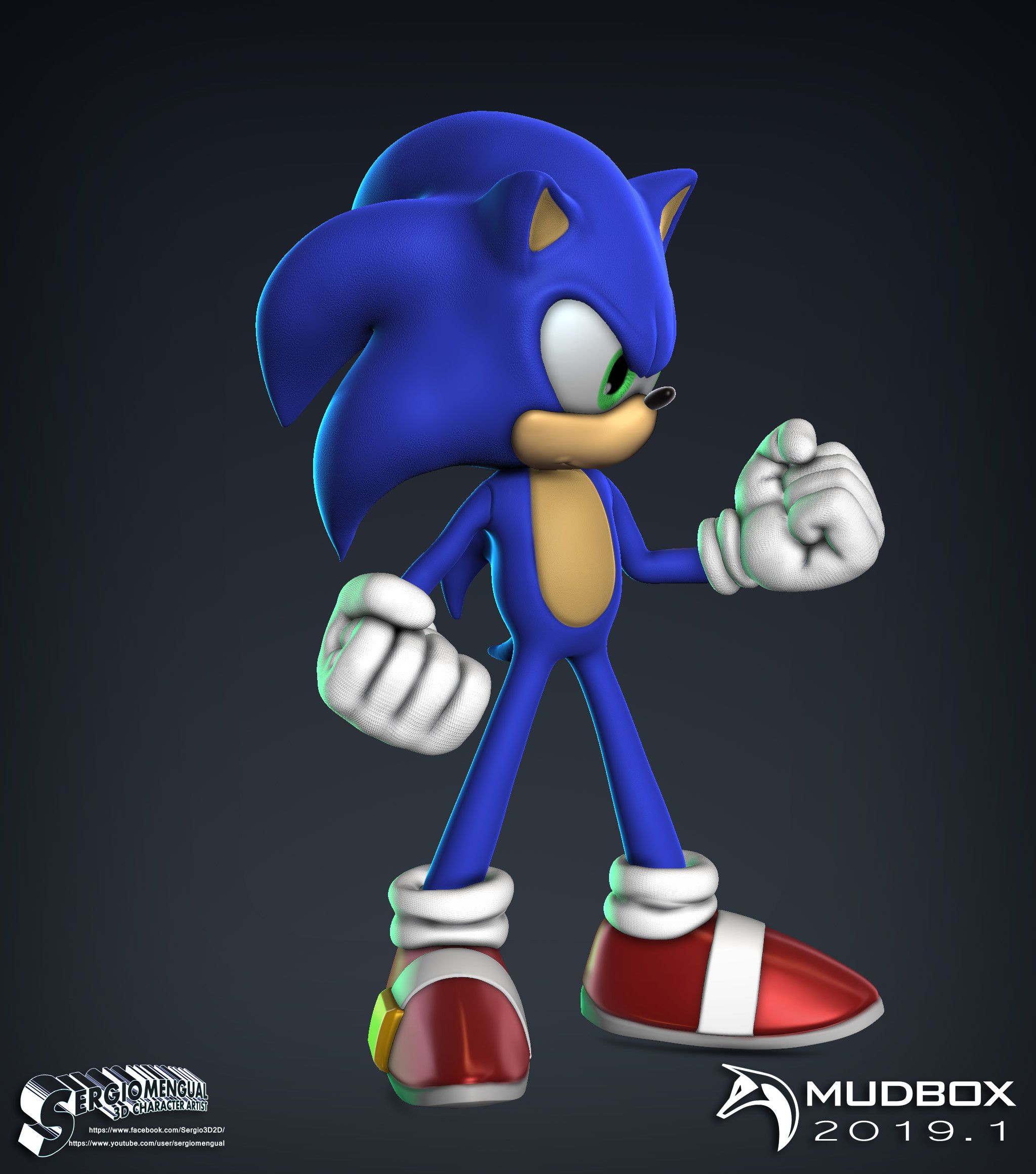 29 Mana the Hedgehog ideas | hedgehog, sonic fan characters, sonic art, image size:2048x2320
