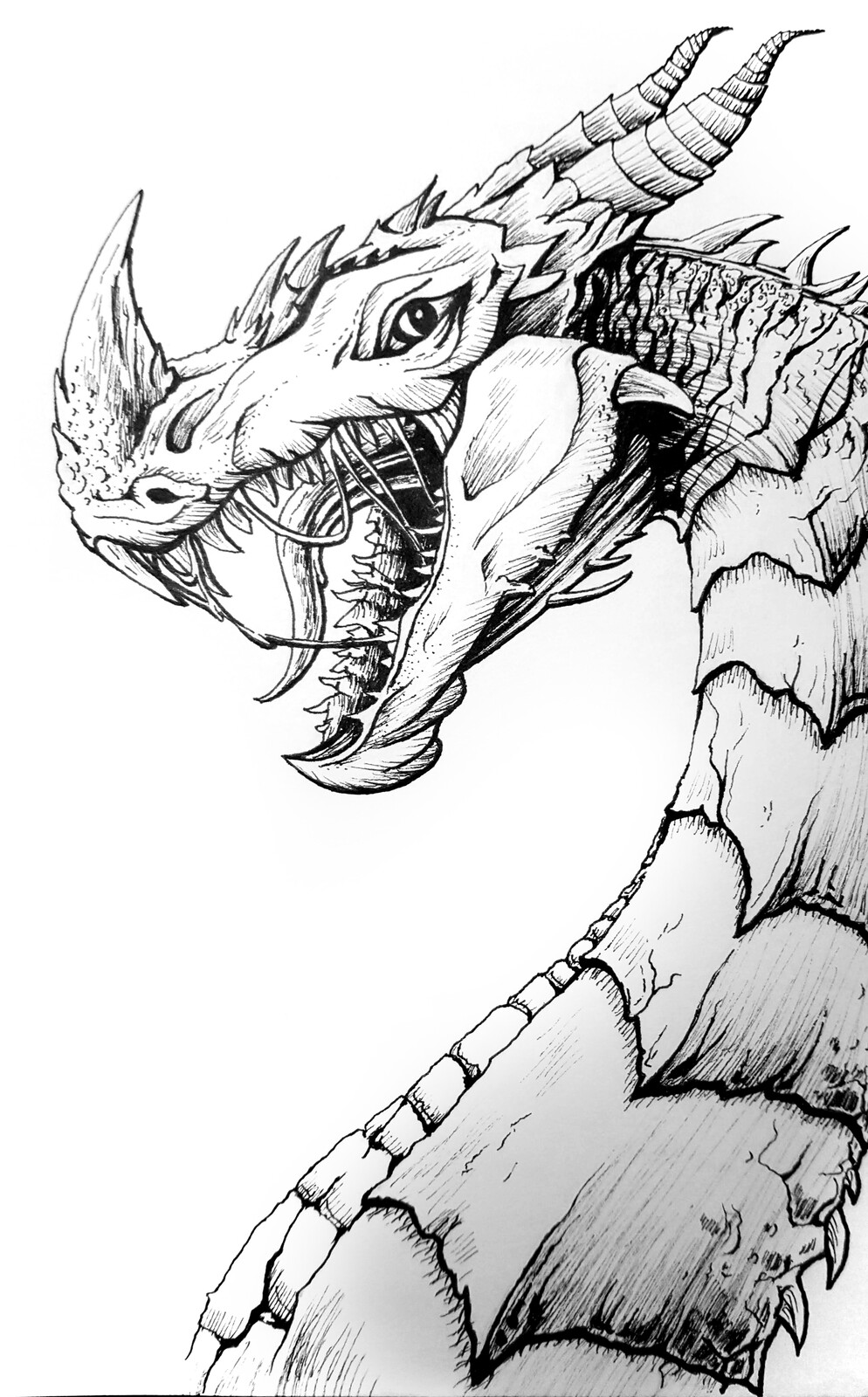 Dragon, Sketch