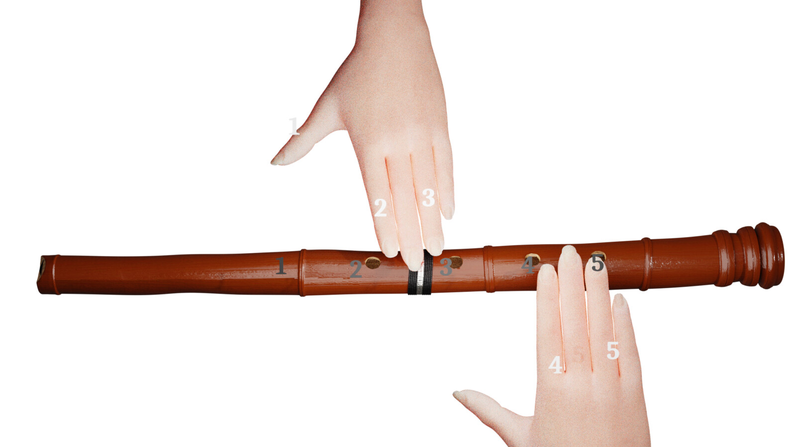 Shakuhachi Fingering