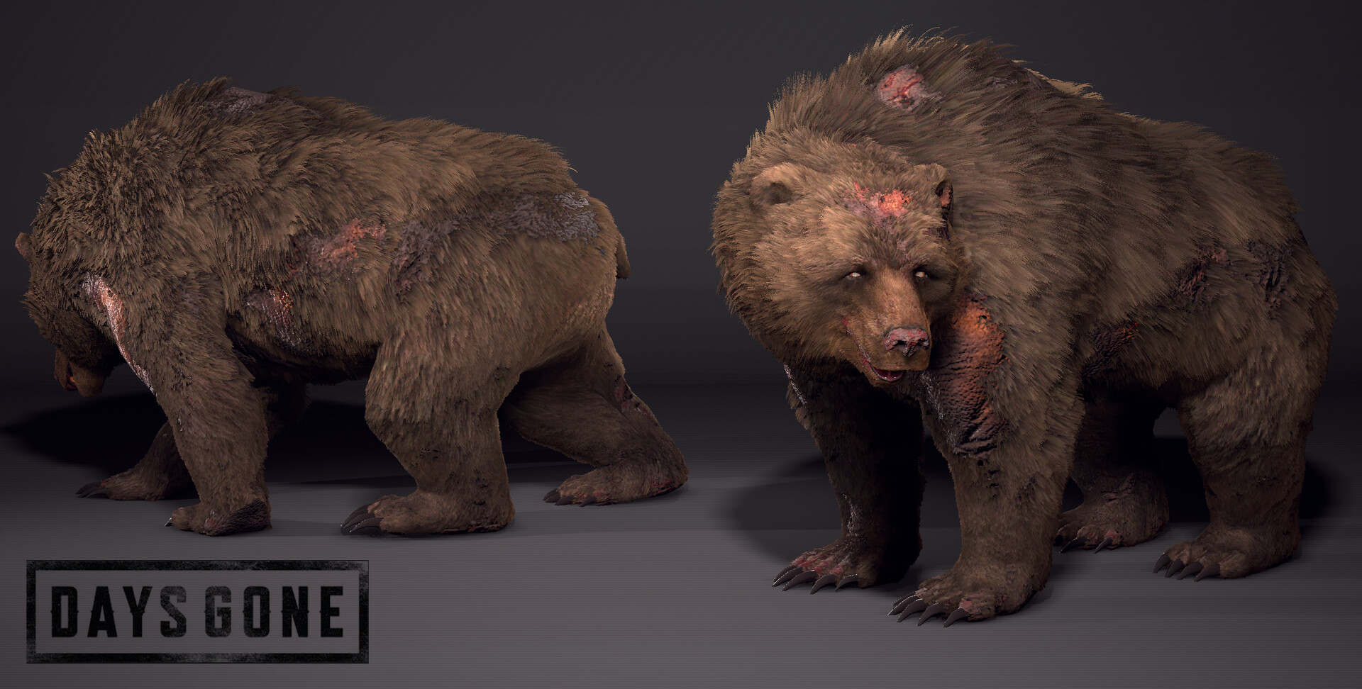 Bear, Days Gone Wiki