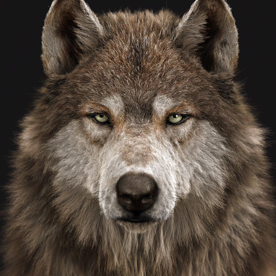 ArtStation - Wolf Head (Yeti version)
