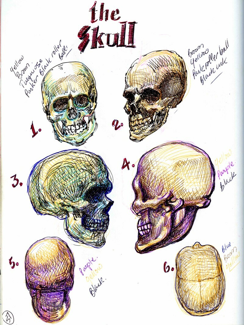 Choosing the sphere as the base form for the human head, is based on it's precise relationship to the actual skull.