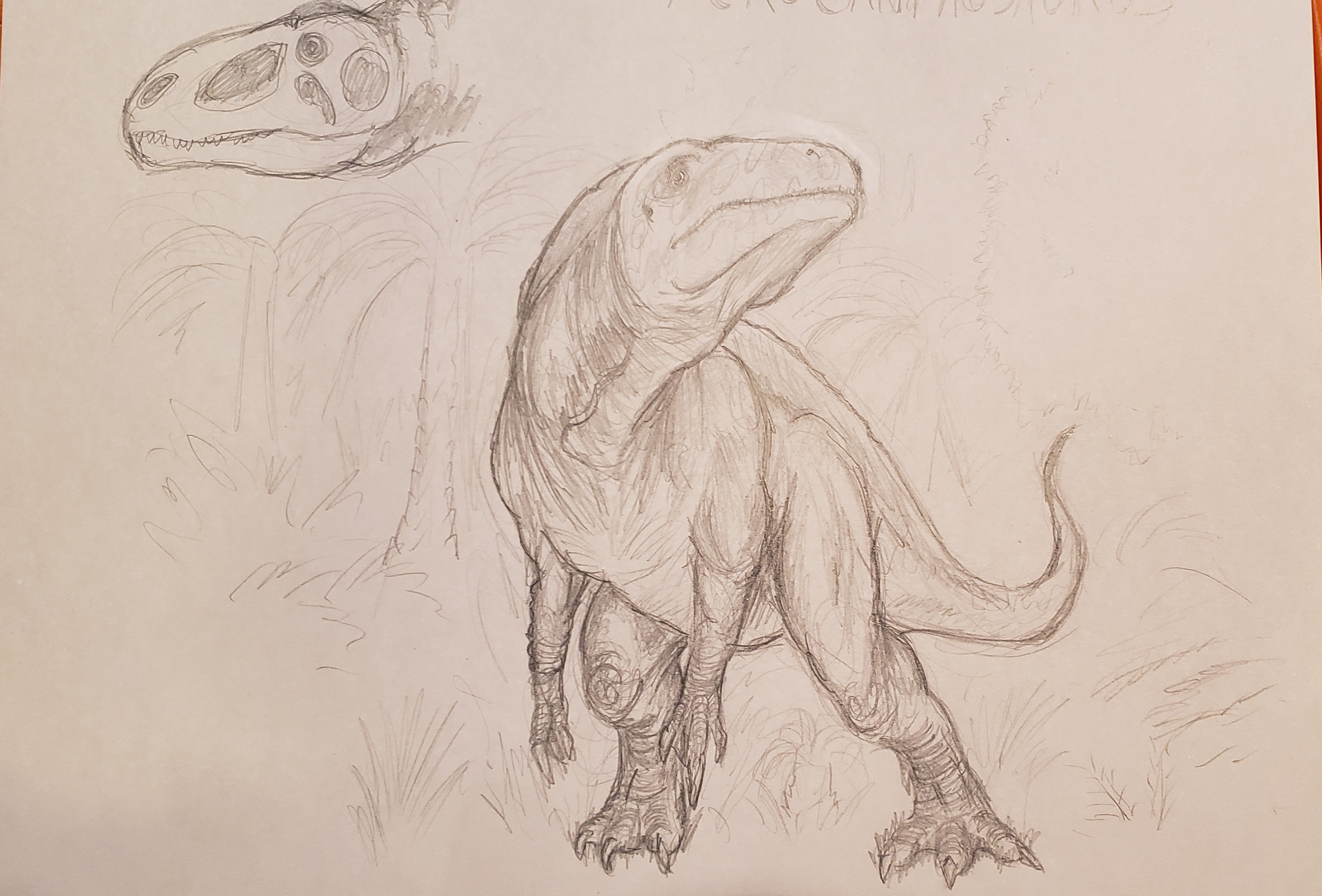 Acrocanthosaurus finished sketch
