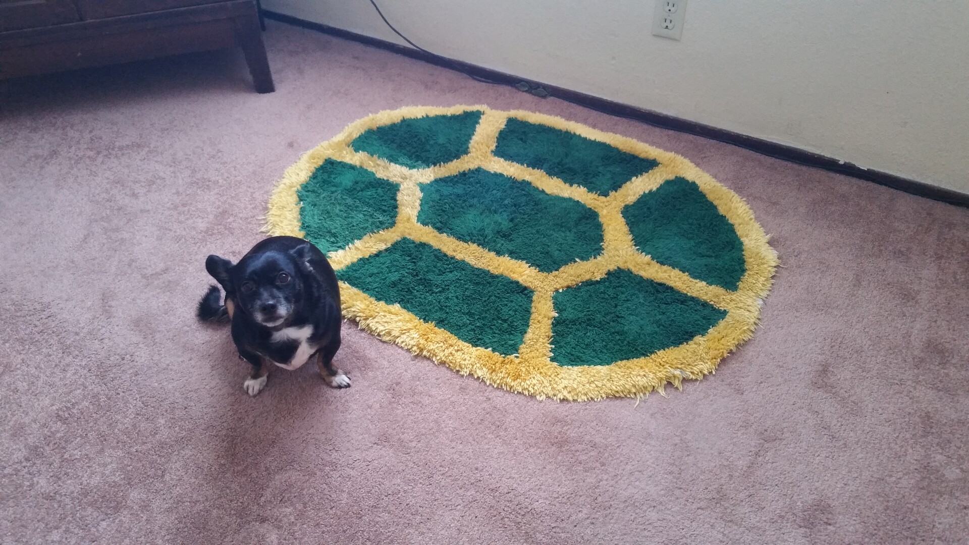 ArtStation - Turtle rug