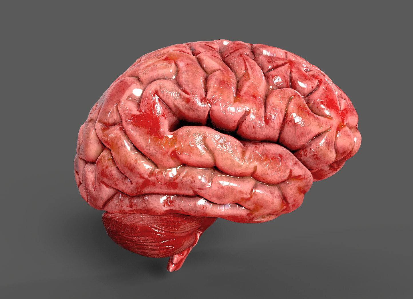 Artstation 3d Human Brain Chandra Kiran Atluri