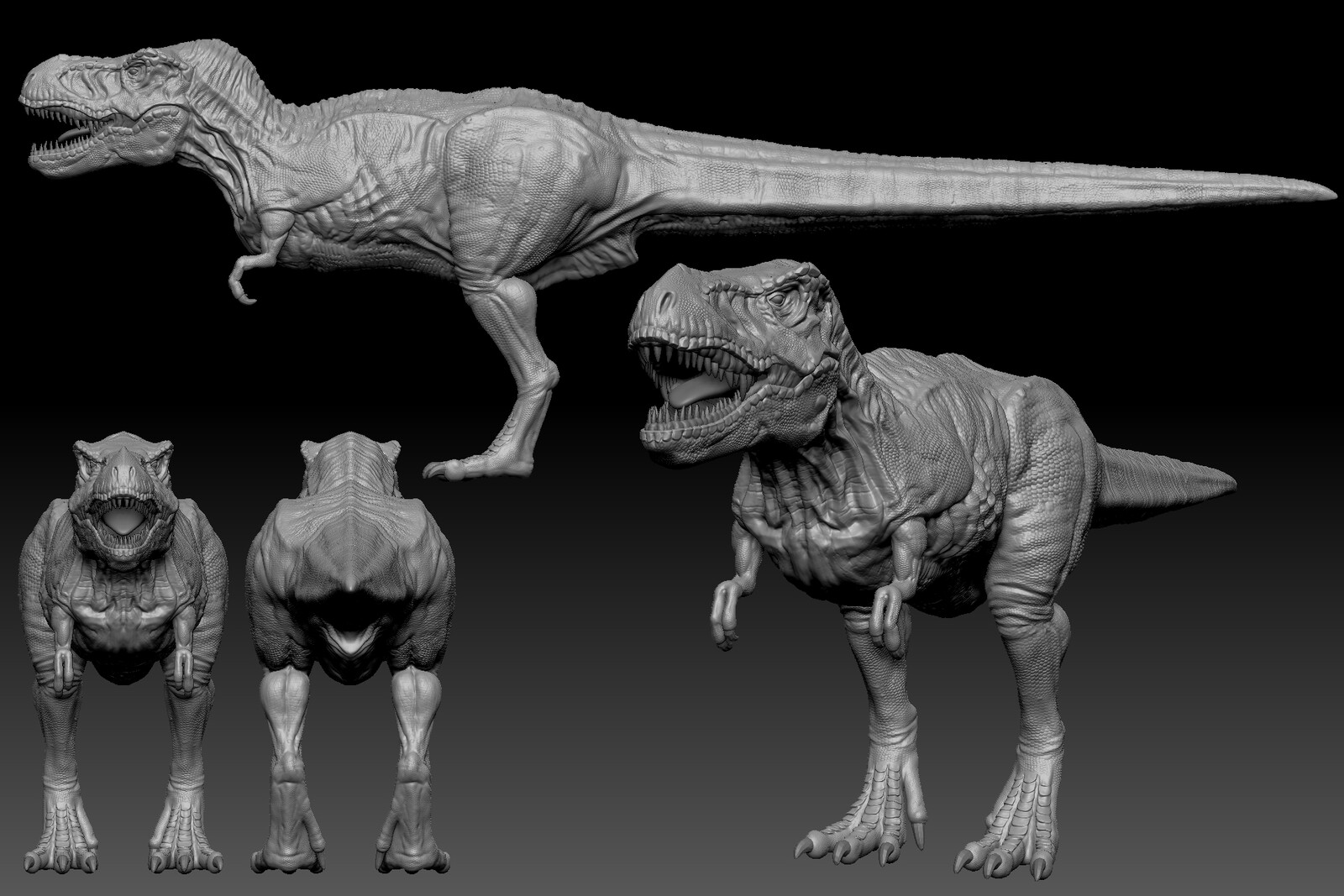 t rex anatomy