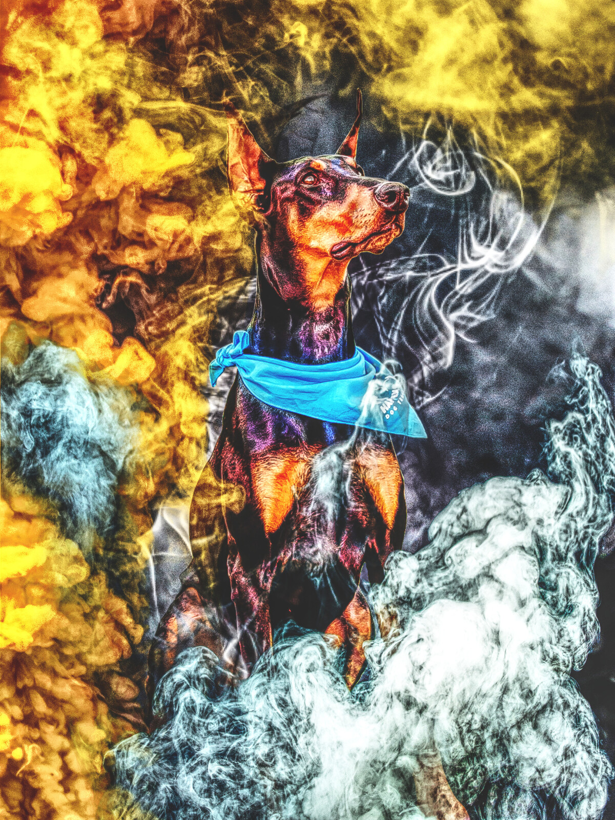 Commision