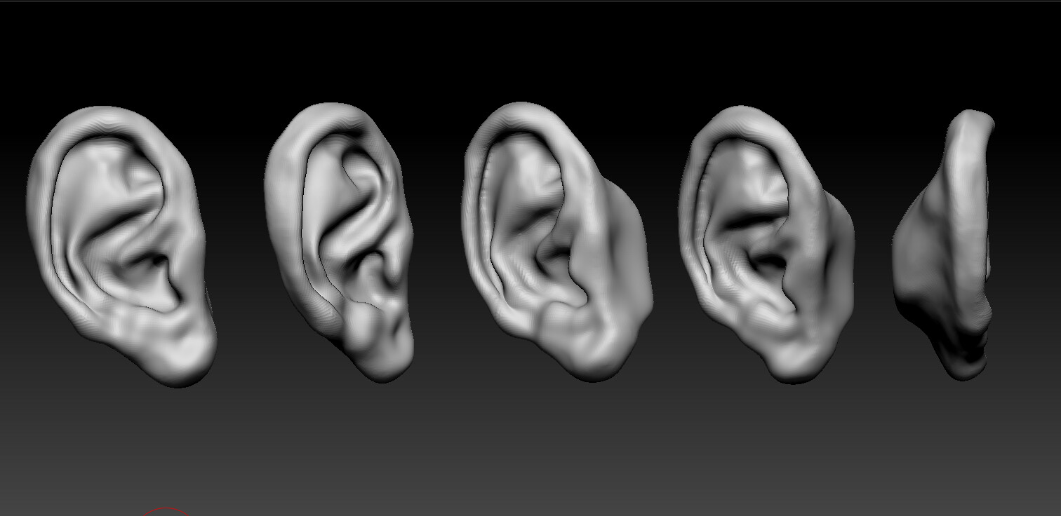 ear reference