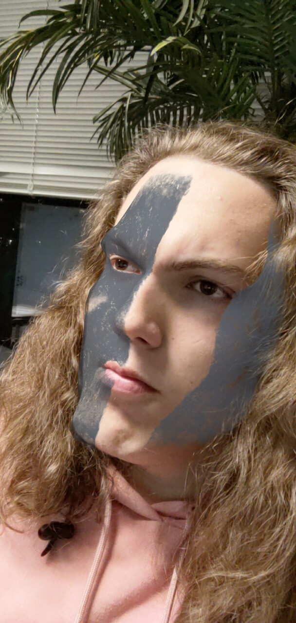 ar instagram filters paul hanberry
