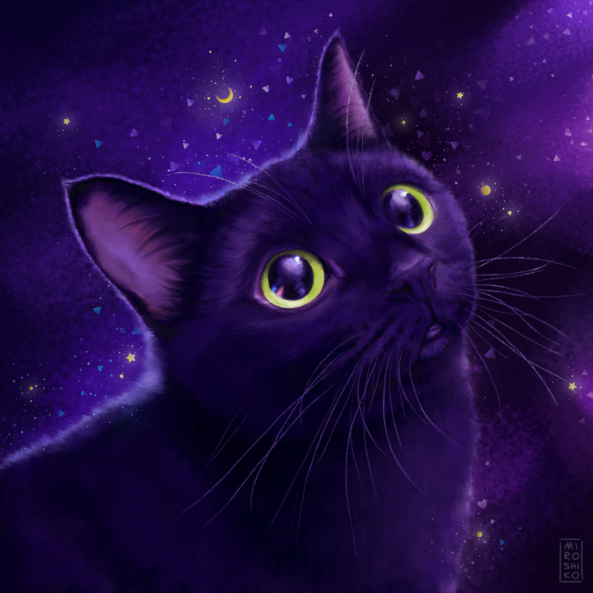 Purple cat