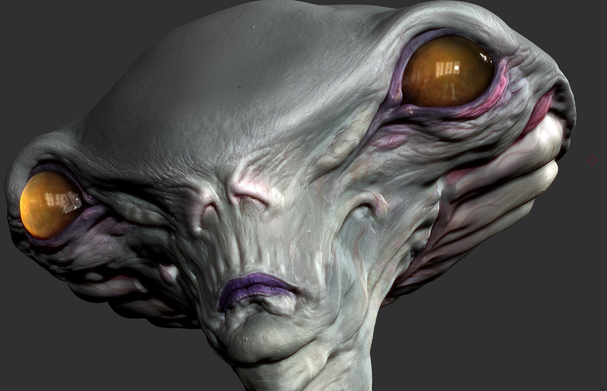 Crop of the Zbrush viewport from the tertiary stage. 