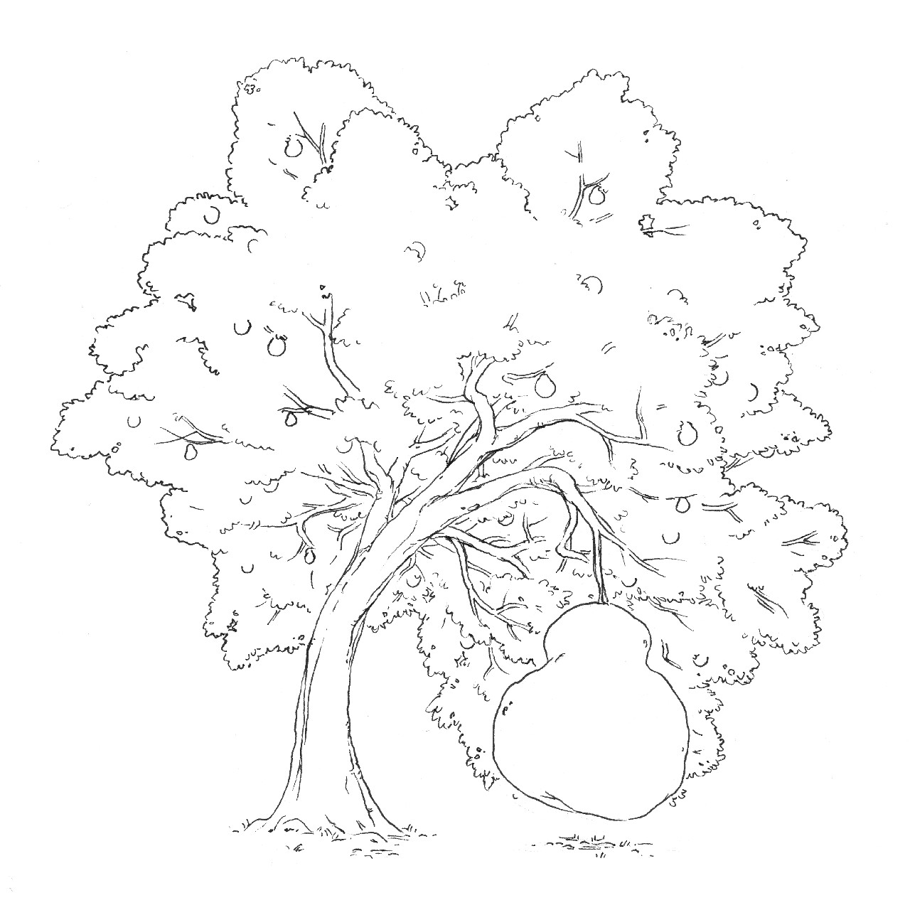 31 — Ripe