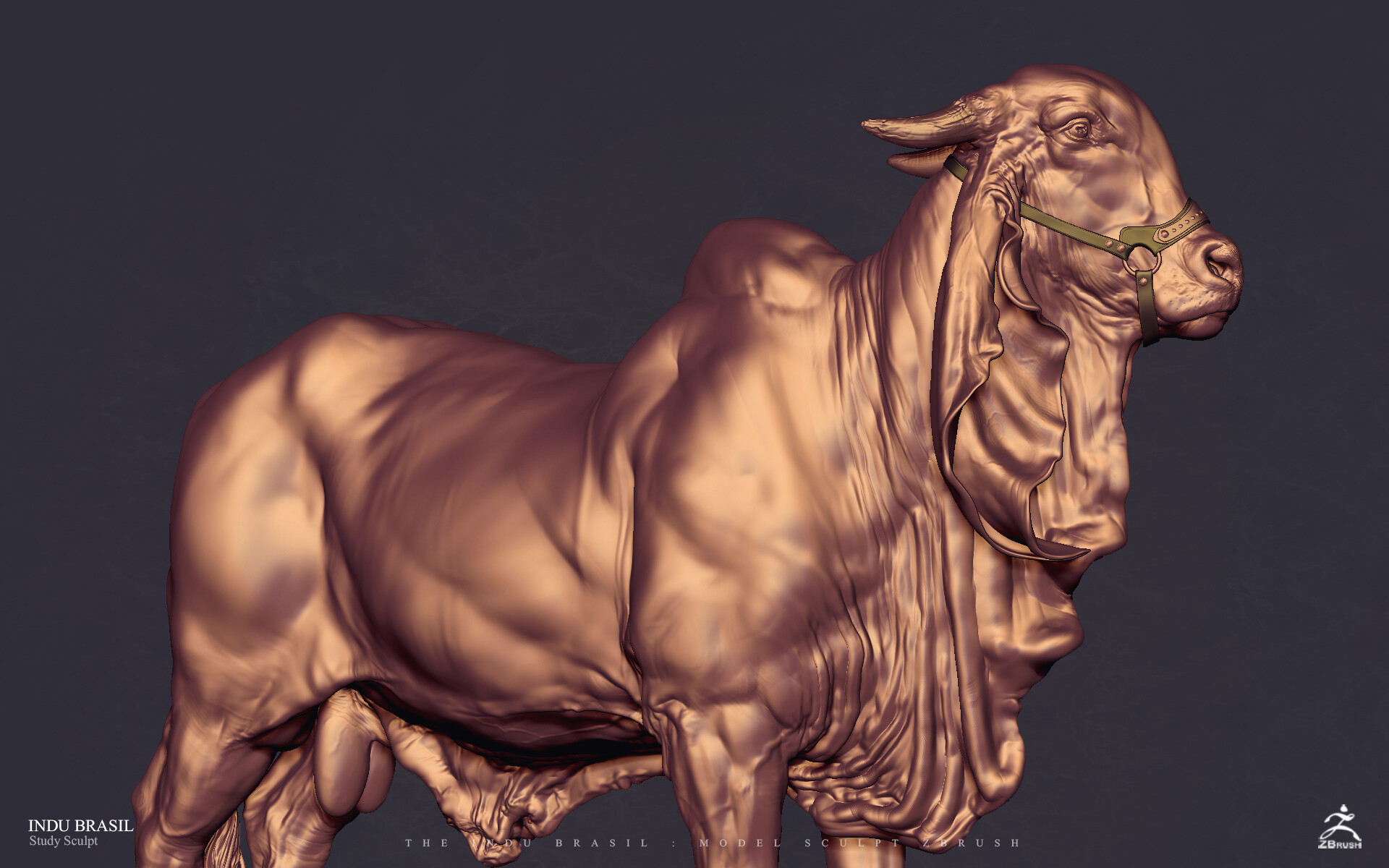 Artstation Indu Brasil Cocoa Toto Dost Artstation Indu Brasil Cocoa Toto Dost