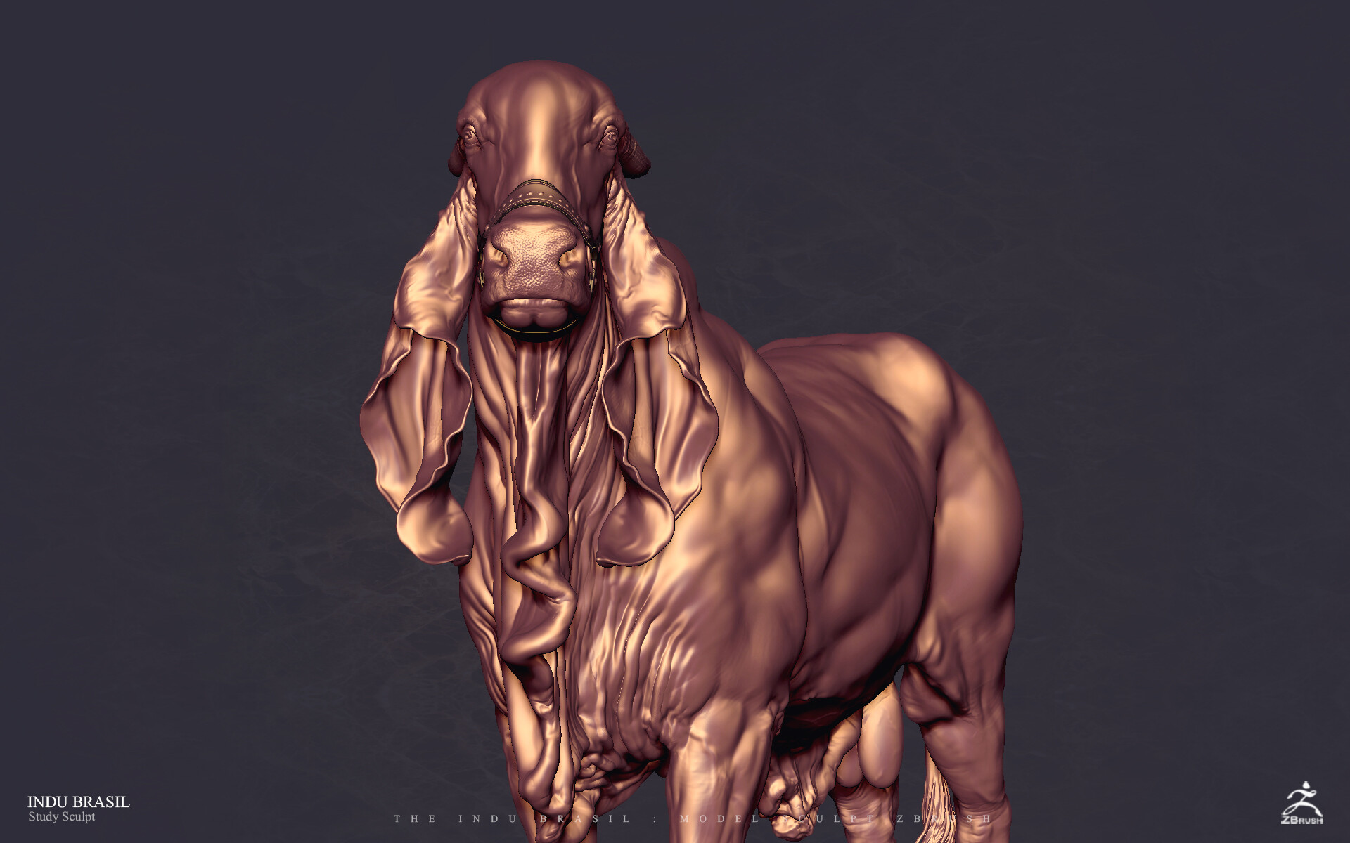 Artstation Indu Brasil Cocoa Toto Dost Artstation Indu Brasil Cocoa Toto Dost