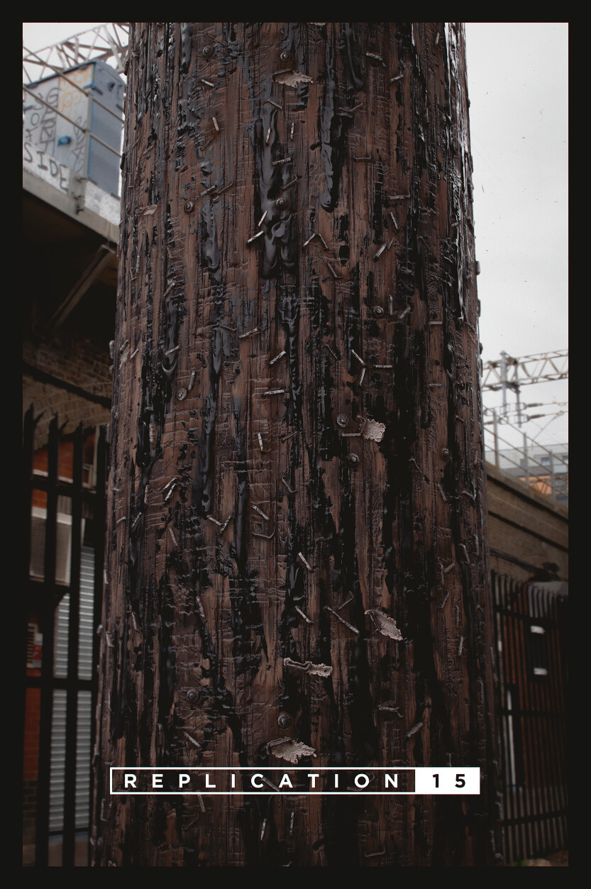 Replication 15