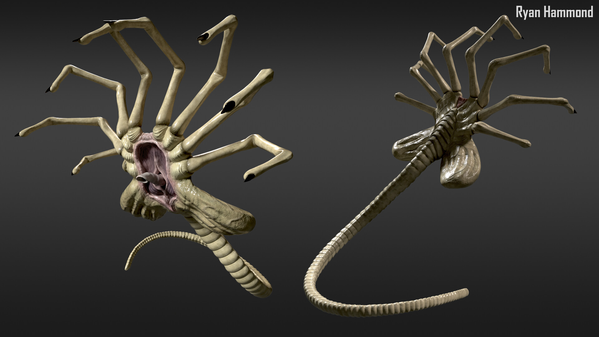 Mount And Facehugger