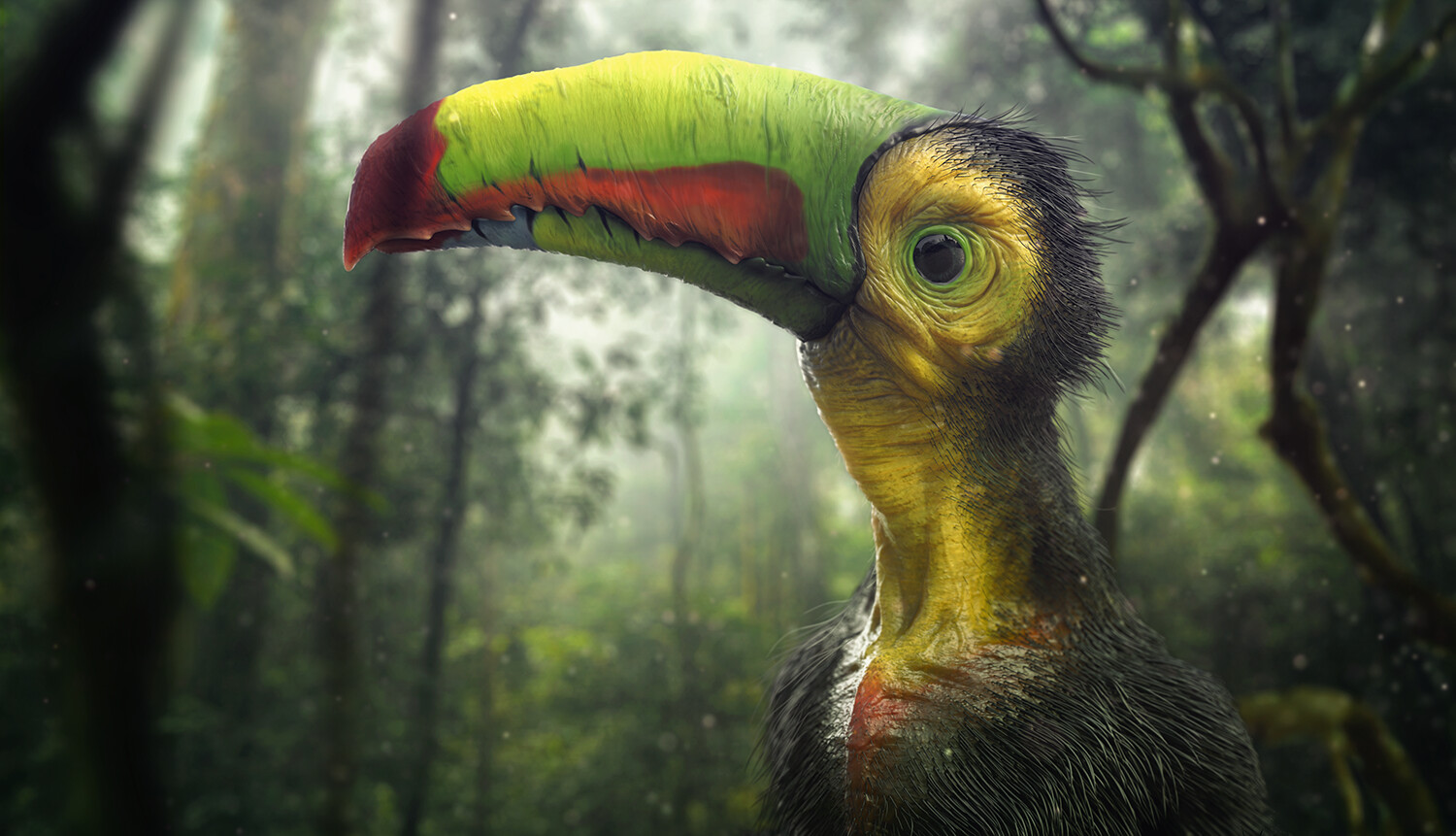 Toucan creature variant