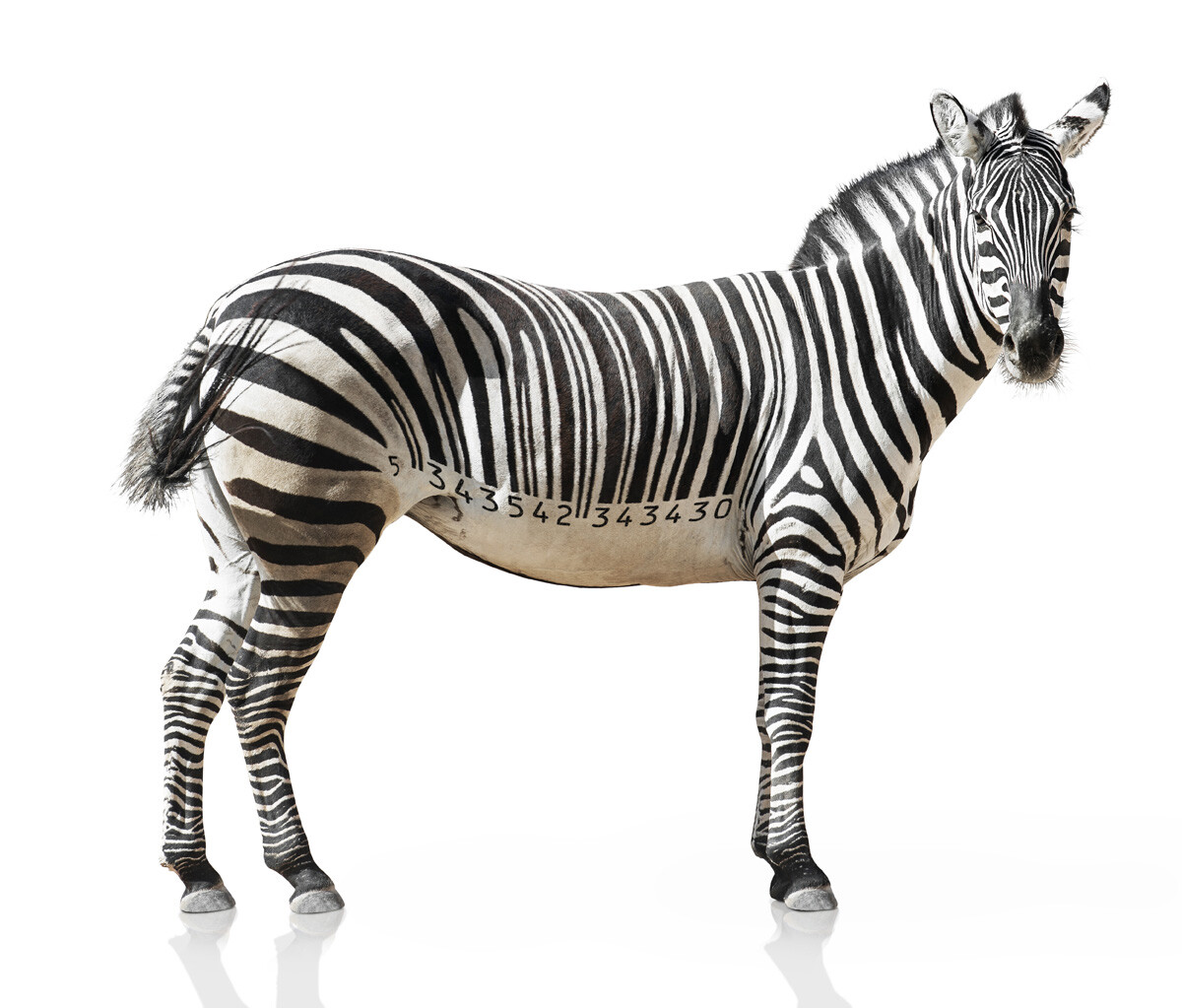 ArtStation - Barcode Zebra