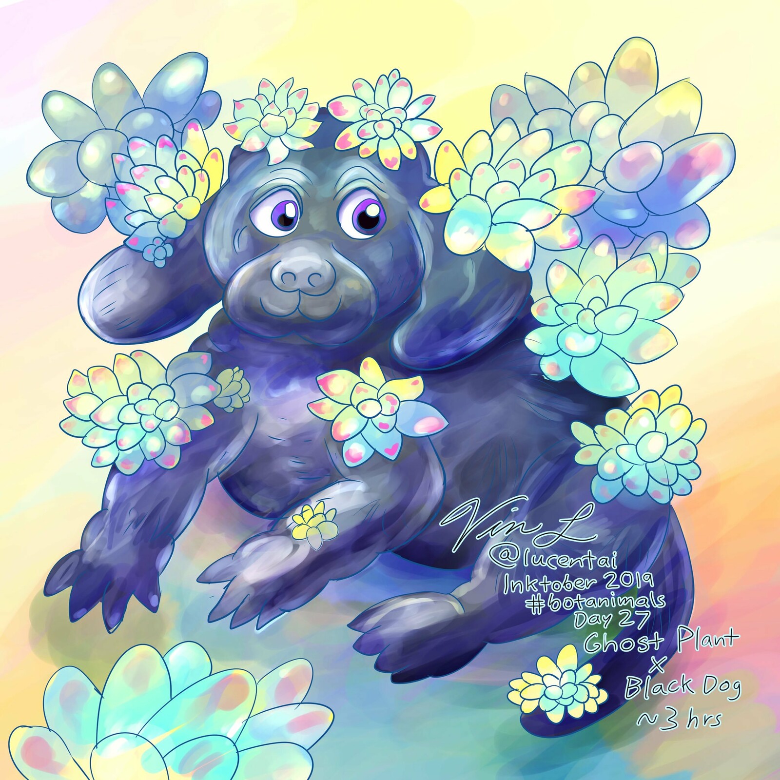 Day 27: Ghost Plant x Black Dog
