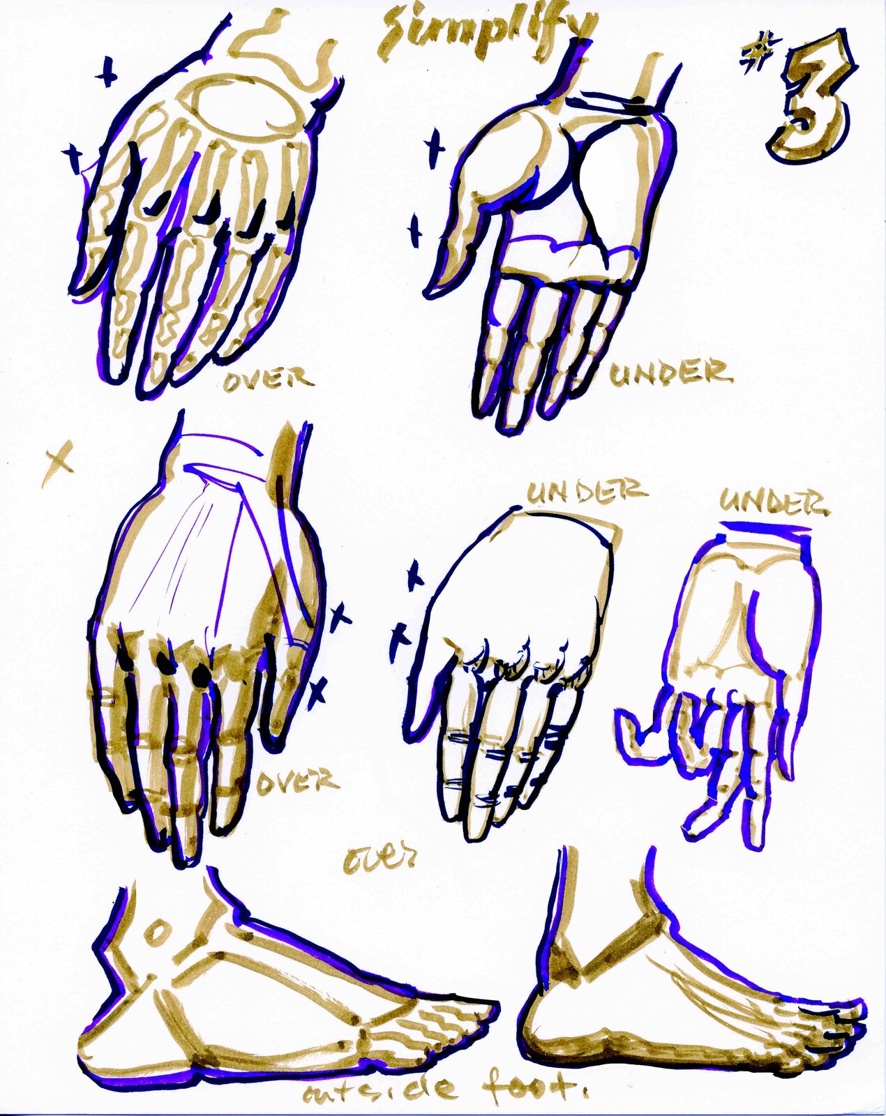 Key essentials of the hand simplified into graphic elements.