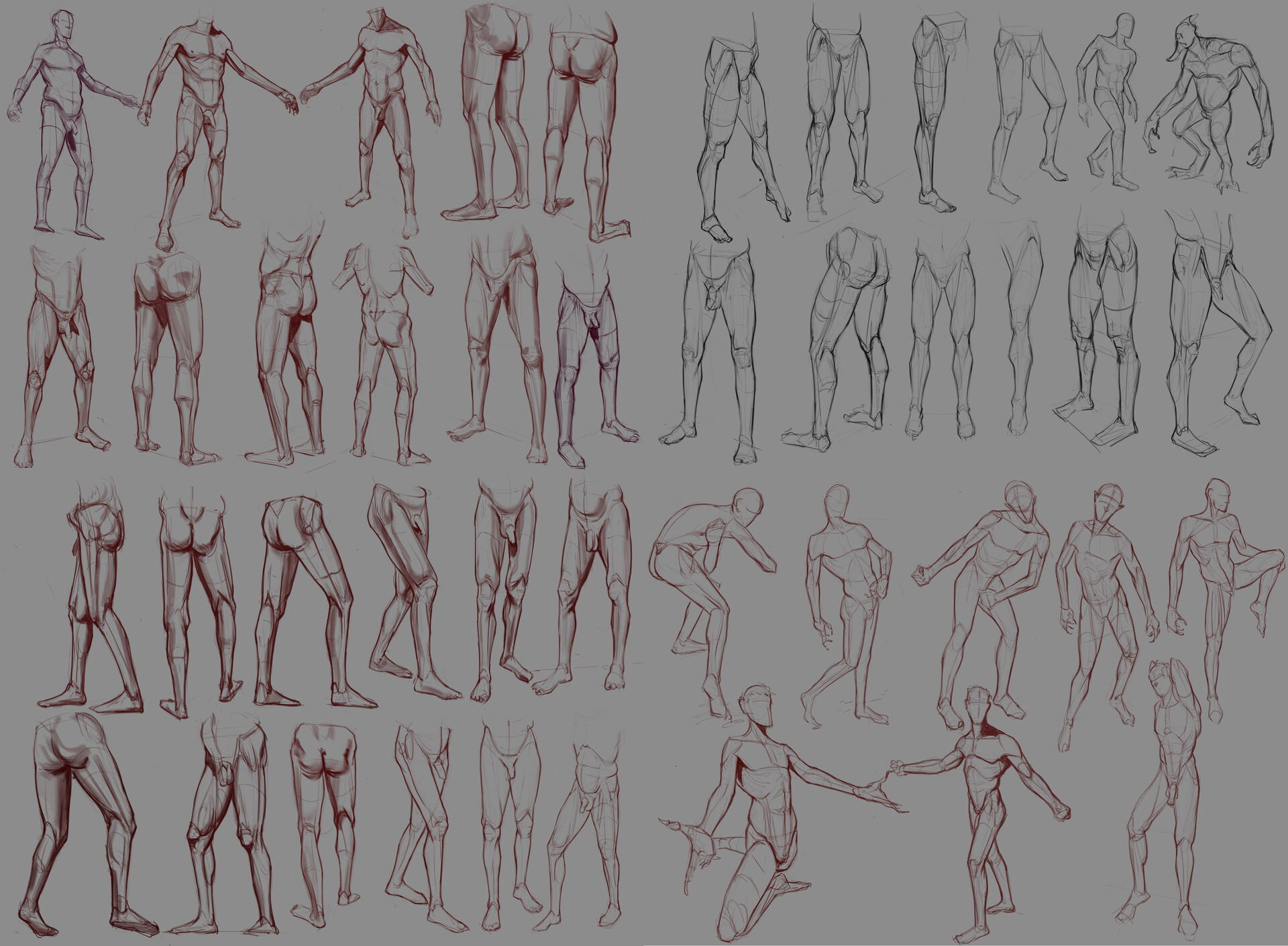 Vick Gaza - 2D Studies and Drawing - Human Anatomy and Body Structure
