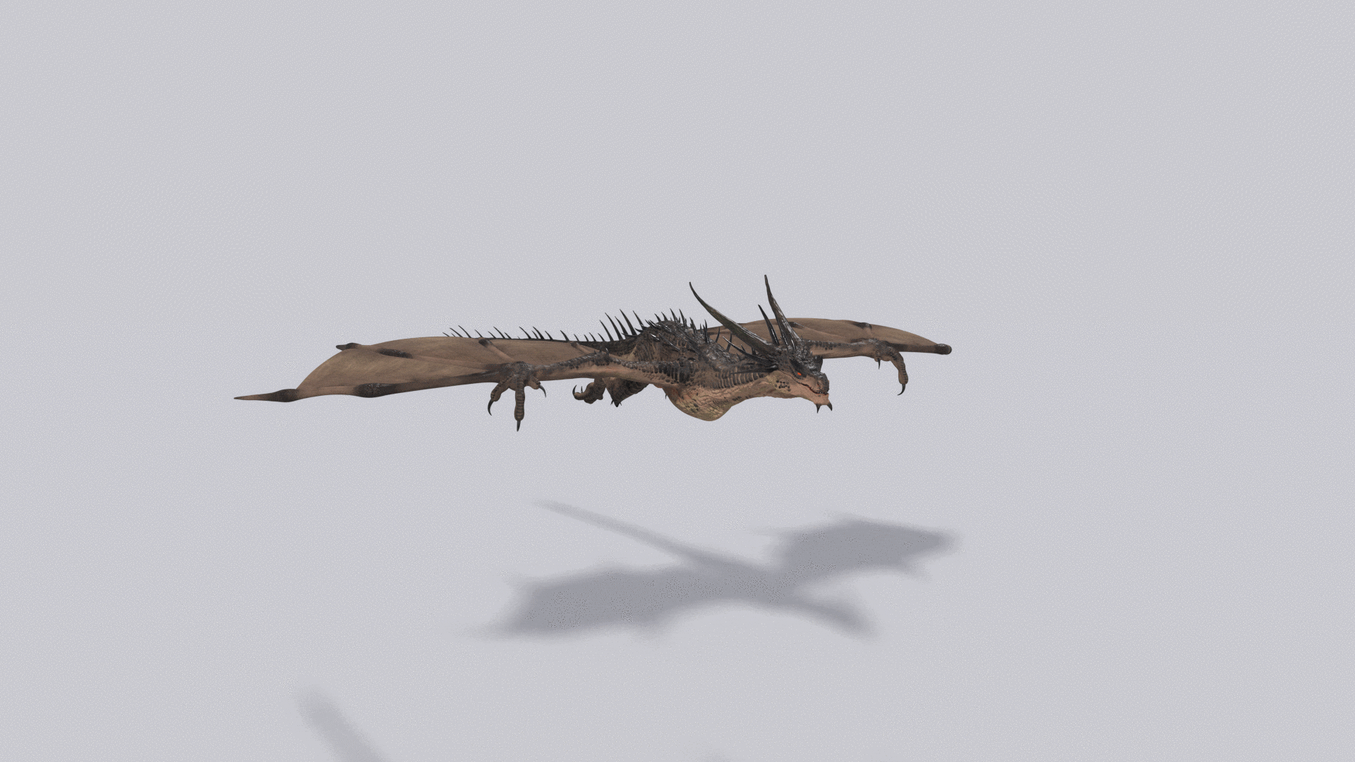 Gliding - loop