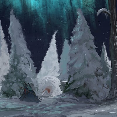 Timi honkanen snow borealis