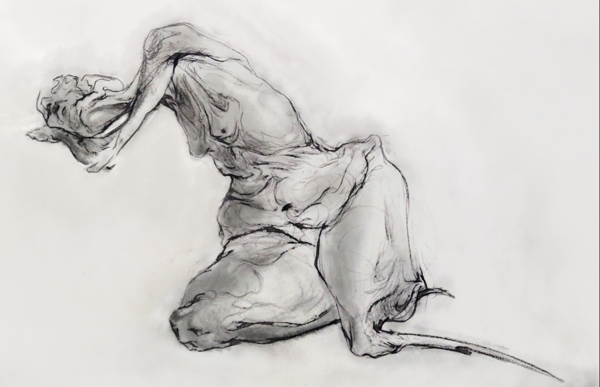 Life drawing
