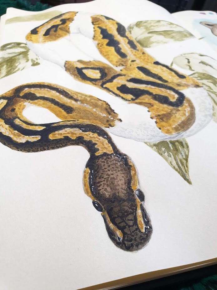 Python Painting